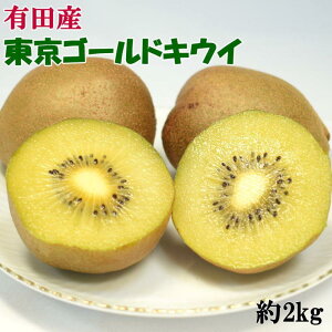 yӂ邳Ɣ[Łzyʌz S[hLEC 2kg TCY12{菇 | LEC t[c LECt[c ʕ  Hi lC  