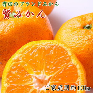 yӂ邳Ɣ[ŁzyIׂeʁz Lc̃uhu݂v5kg or 10kg TCY ƒpy2025N11{菇z | t[c ʕ  Hi lC  
