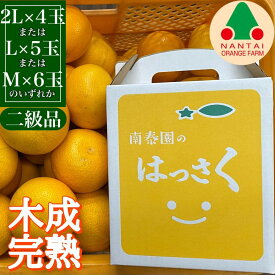 【ふるさと納税】ちょっと 傷あり 4月 まで 木成 完熟 させた 有田 はっさく 2L ～ M ( 4玉 ～ 6玉 ) 手さげ箱 南泰園 みかん