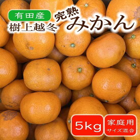 【ふるさと納税】［濃厚・まろやか］有田産樹上越冬完熟みかん約5kg（ご家庭用）★2027年1月下旬頃より順次発送 | フルーツ 果物 くだもの 食品 人気 おすすめ 送料無料 定期便 産地直送