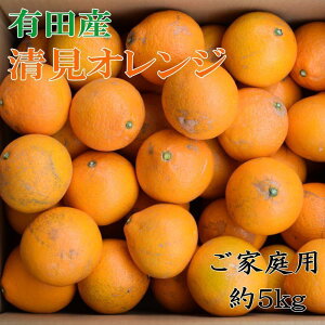 yӂ邳Ɣ[Łz2026N2{蔭 ƒp Z LcYIW5kg TCY܂ ܂͍ | t[c ʕ  Hi lC  