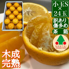 【ふるさと納税】訳あり 傷多め 4月 まで 木成 完熟 させた 有田 はっさく S × 24玉 茶箱 南泰園 みかん
