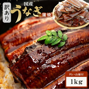 �y�ӂ邳�Ɣ[�Łz�󂠂� ���Y ���Ȃ� 1�H �p�b�N ���v 1kg ~ 500g �R�� �t�� �^�� 15�� ~ 30�� �Z�b�g ���ʌ��� | ���Ȃ����� �������� �R���t�� �^���t�� �H�ׂ���T�C�Y �l�C �������� �V ���� ��