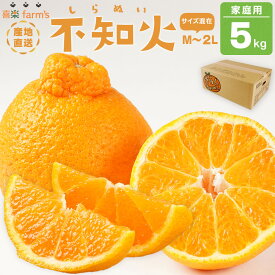 【ふるさと納税】【産地直送】☆不知火☆家庭用☆約5kg | みかん 不知火 柑橘 和歌山 有田 しらぬい 柑橘類 和歌山県 有田川町 果物 フルーツ 家庭用 5kg ふるさと納税 返礼品 故郷納税