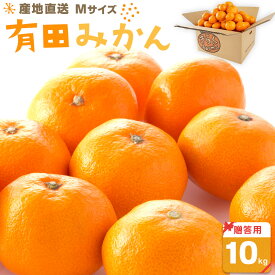 【ふるさと納税】産地直送 贈答用 有田みかん Mサイズ 約10kg 喜楽farms 【2025年11月以降順次発送】 | みかん 柑橘 和歌山 有田 蜜柑 柑橘類 和歌山県 有田川町 果物 フルーツ 贈り物 ギフト ふるさと納税 返礼品 故郷納税