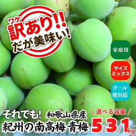 【ふるさと納税】［選べる容量］青梅 南高梅 訳あり約1～5kg サイズミックス 和歌山県産 A品 梅酒作り用 梅ジュース作り用 | 梅干し 梅干 梅酒 梅ジュース 食品 加工食品 人気 おすすめ 送料無料
