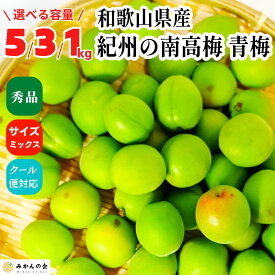 【ふるさと納税】［選べる容量］青梅 南高梅 約1～5kg 秀品 サイズミックス 和歌山県産 A品 梅酒作り用 梅ジュース作り用 | 梅 うめ 南高梅 完熟 生梅 秀品 和歌山県 梅酒用 梅干用 梅シロップ 梅ジャム 送料無料 お土産 取り寄せ