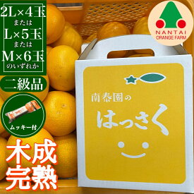 【ふるさと納税】ちょっと 傷あり 4月 まで 木成 完熟 させた 有田 はっさく 2L ～ M ( 4玉 ～ 6玉 ) 手さげ箱 ムッキー 同梱 南泰園 みかん | 八朔 はっさく 柑橘 送料無料