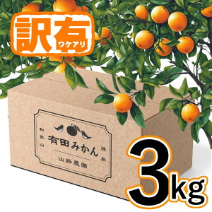 yӂ邳Ɣ[Łzy󂠂zLc݂ 3kg ƒp | ݂  k t[c ʕ  Hi lC  {   a̎R
