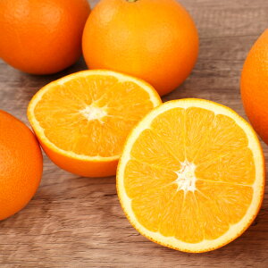 yӂ邳Ɣ[Łzl[uIW 5kg or 10kg TCY܂ AMbg ͔| Y Â  W[V[   n Ԍ t[c ʕ lC    Mtg 