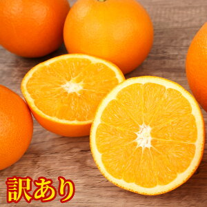 yӂ邳Ɣ[Łz󂠂 l[uIW 5kg or 10kg TCY܂ AMbg ͔| Y Â  W[V[   n Ԍ t[c ʕ lC    