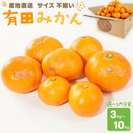 【ふるさと納税】【選べる容量】産地直送 有田みかん サイズ 不揃い 約3kg/5kg/10kg 喜楽farms 【2025年11月以降順次発送】 | みかん 柑橘 和歌山 有田 蜜柑 柑橘類 和歌山県 有田川町 果物 フルーツ 旬 季節 ふるさと納税 返礼品 故郷納税