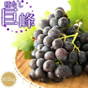 yӂ邳Ɣ[Łzms\nȂ@2kgm2026N8{ȍ~n | ʕ t[c Ԃǂ uhE @Y@Yn@a̎R@߁@񂹁@s\ Ԍ