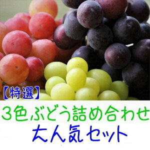 yӂ邳Ɣ[Łz_ƒ 3FԂǂlߍ킹lCZbg 2kg ys\z | s\ a̎R ʕ  t[c VC}XJbg ԗ  Ԃǂ lߍ킹 uh 