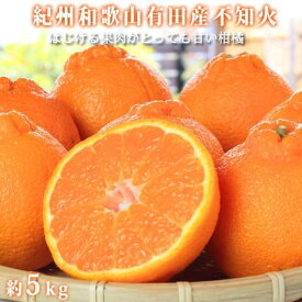 【ふるさと納税】【2・8・9・12月 全4回】紀州産 巨峰とフルーツ定期便（巨峰・梨・みかん・不知火） 【魚鶴商店】 | フルーツ 果物 くだもの 食品 人気 おすすめ 送料無料 定期便
