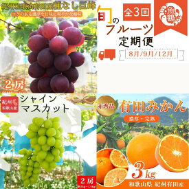 【ふるさと納税】【8・9・12月 全3回】紀州和歌山産旬のフルーツセット（巨峰・シャインマスカット・みかん） 定期便 | フルーツ 果物 くだもの 食品 人気 おすすめ 送料無料 定期便