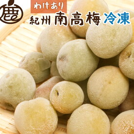 【ふるさと納税】【選べる容量 約0.5kg～5kg】家庭用 冷凍梅 紀州 南高梅 青梅 黄梅 完熟梅 訳あり | 梅干し 梅干 食品 加工食品 人気 おすすめ 送料無料