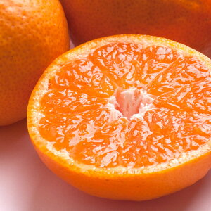 【ふるさと納税】【選べる容量】極プレミアム有田みかん 約1kg 定期便 全3回 10月・11月・12月発送 | みかん 柑橘 蜜柑 フルーツ 果物 くだもの 食品 人気 おすすめ 送料無料 定期便 お楽しみ