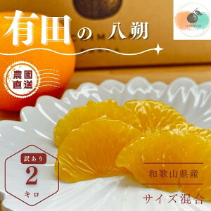 yӂ邳Ɣ[Łzys\z  2kg 󂠂 TCY k t[c ͂ Yn   | ͂  ʕ nbTN 󂠂 킯 t[c Lc a̎R lC