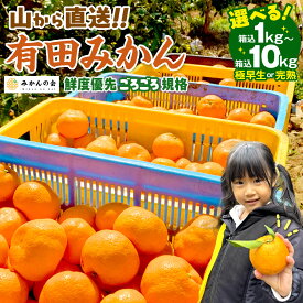 【ふるさと納税】【先行予約】選べる配送 みかん 訳あり 山から直送 箱込 1kg ～ 10kg ( 内容量約 0.9kg ~ 9.2kg ) 鮮度優先ごろごろ規格 和歌山県産 産地直送 家庭用 わけあり みかんの会 | ありだみかん みかん 有田みかん 有田ミカン mikan