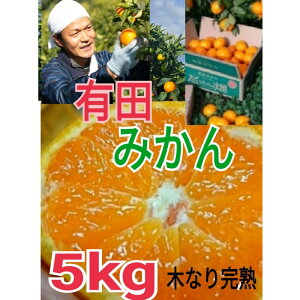 yӂ邳Ɣ[ŁzLc݂ Gi 5kg@ؐ芮nypz傿̔_ | t[c ʕ  Hi lC  