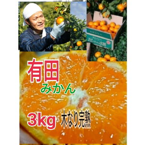 yӂ邳Ɣ[ŁzyƒpzLc݂ 3kg iS`2LTCY~bNXjؐ芮n 傿̔_ | t[c ʕ  Hi lC  