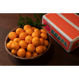 yӂ邳Ɣ[ŁẑꂽĊÂEݗLc݂ 5kg MELTCY | ݂  t[c ʕ  Hi lC   Yn