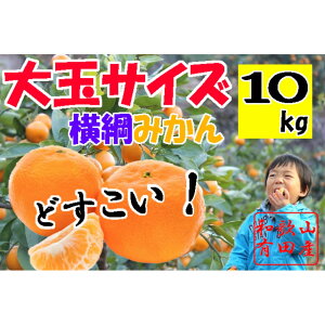 yӂ邳Ɣ[ŁzyIׂdʁzʗLc݂ 5`10kg 2LE3LTCY | ݂  t[c ʕ  Hi lC  