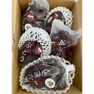 yӂ邳Ɣ[Łzys\zLcO؂Ɖ̂܁`W[V[I 킠 iӂ݂̂j2kg(4`6[) | t[c ʕ  Hi lC  