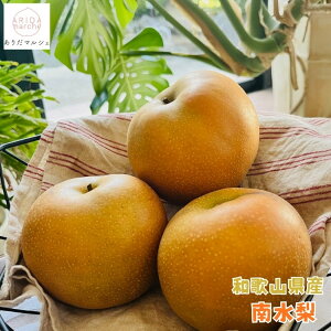 yӂ邳Ɣ[ŁzLc  n  _ƒ 쐅  4.5kgm2026NEs\n