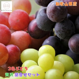 yӂ邳Ɣ[Łz_ƒ 3FԂǂlߍ킹ґZbg 3kg m2026NEs\n | s\ a̎R ʕ  t[c VC}XJbg ԗ  Ԃǂ lߍ킹 u