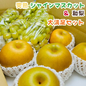 yӂ邳Ɣ[ŁzyIׂeʁzms\E2026Nn̂ꊮnVC}XJbgƘa Zbg 2`4kg | Ԃǂ t[c ʕ  Hi lC  