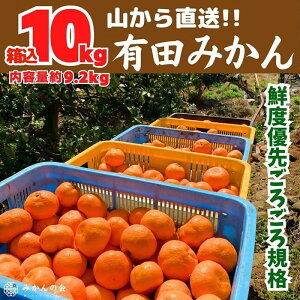 �y�ӂ邳�Ɣ[�Łz�y�I�ׂ��ށE�����E���e�ʁz�݂��� �󂠂� �R���璼�� ���� 1kg �` 10kg ( �� 0.9kg ~ 9.2kg ) �N�x�D�悲�낲��K�i �a�̎R���Y �Y�n���� �ƒ�p �킯���� �݂���̉� | ���肾