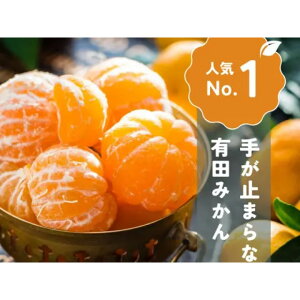 �y�ӂ邳�Ɣ[�Łz�肪�~�܂�Ȃ� �󂠂� �L�c�݂��� ��3�`5kg �傫�����I�ʁi2S�`3L�j ���x11�x�ȏ� ��_�� | �݂��� ���� �t���[�c �ʕ� �������� �H�i �l�C �������� �������� �Y�n����