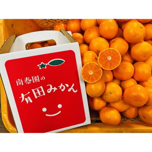 �y�ӂ邳�Ɣ[�Łz�L�c�݂��� ���ʂ���� �������� 2.2kg ����2S�`4S�T�C�Y���� �a�̎R ��׉� �݂��� | �L�c�݂��� �_�ƒ��� ���� �݂��� ���� �~�J�� �L�c �L�c�� ���肾 �a�̎R �t���[�c �ʕ� 