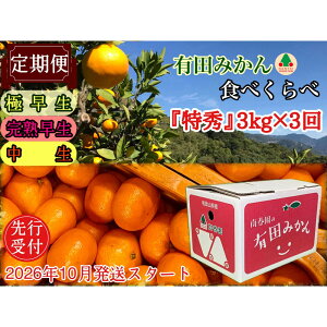 �y�ӂ邳�Ɣ[�Łz����� ��s��t 2026�N 10�������X�^�[�g �L�c�݂��� �H�ׂ���� 3�� ���G �e 3kg �R�[�X �S3�� ��׉� | �L�c�݂��� �݂��� ���� �t���[�c �ʕ� �������� �H�i �l�C ��׉� ��