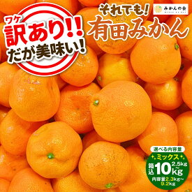 【ふるさと納税】訳あり それでも 有田みかん 箱込 2.5kg～10kg サイズミックス B品 有田みかん 和歌山県産 産地直送 家庭用【みかんの会】 | 訳あり サイズミックス 柑橘 人気 おすすめ みかん フルーツ 和歌山 産地直送 家庭用 箱入り ふるさと納税