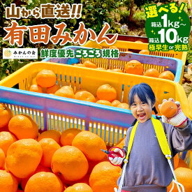 【ふるさと納税】【選べる種類・発送・内容量】みかん 訳あり 山から直送 箱込 1kg ～ 10kg ( 約 0.9kg ~ 9.2kg ) 【 完熟みかん 現在発送中 】【 極早生みかん 先行予約受付中 2026年10月上旬頃より順次発送予定】 | ありだみかん みかん 有田みかん 有田ミカン 柑橘