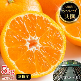 【ふるさと納税】有田みかん 5kg 2Sサイズ 光センサー使用 高糖度 | 有田川町 柑橘 小玉 光センサー選別 高糖度 人気 おすすめ フルーツ 果物 甘味 ジューシー 柑橘類 旬 贈答用 お取り寄せ 送料無料 ふるさと納税