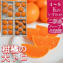 糖度 せとかの通販