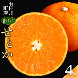 【ふるさと納税】みかん の大トロ せとか 1.5kg ～ 8kg 訳あり ブランド 和歌山 有田みかん 農家直送 オレンジ フルーツ 果物 | ブランド柑橘 せとか 柑橘類 果物 人気 おすすめ フルーツ 甘味 和歌山県産 家庭用 お取り寄せ 送料無料 ふるさと納税
