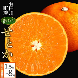 【ふるさと納税】みかん の大トロ せとか 1.5kg ～ 8kg 訳あり ブランド 和歌山 有田みかん 農家直送 オレンジ フルーツ 果物 | ブランド柑橘 せとか 柑橘類 果物 人気 おすすめ フルーツ 甘味 和歌山県産 家庭用 お取り寄せ 送料無料 ふるさと納税