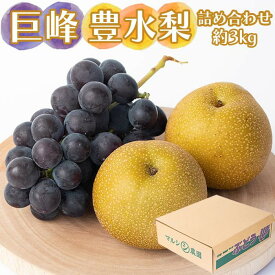【ふるさと納税】巨峰、豊水梨　詰め合わせ　約3kg箱 | 果物 フルーツ ぶどう ブドウ 葡萄 産直 産地直送 おすすめ お取り寄せ 先行予約 期間限定 数量限定