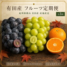 【ふるさと納税】【8・9・12月 全3回】紀州和歌山産旬のフルーツセット（巨峰・シャインマスカット・みかん） 定期便 | フルーツ 果物 くだもの 食品 人気 おすすめ 送料無料 定期便