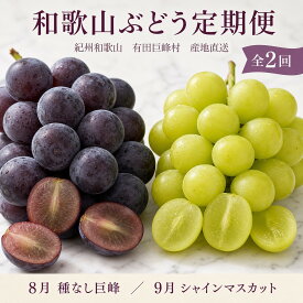 【ふるさと納税】定期便 8・9月発送 紀州有田産旬のぶどうセット（種なし巨峰×約2kg・シャインマスカット×約2kg） | フルーツ 果物 くだもの 食品 人気 おすすめ 送料無料 定期便