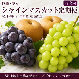 【ふるさと納税】定期便 8・9月発送 紀州有田産旬のフルーツセット（種なし巨峰＆梨セット×計約2kg・シャインマスカット×約2kg） | フルーツ 果物 くだもの 食品 人気 おすすめ 送料無料 定期便