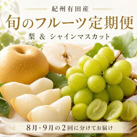 【ふるさと納税】定期便 8・9月発送 紀州有田産旬のフルーツセット（梨×3玉 化粧箱入・シャインマスカット×2房（約1kg〜1.4kg）） | フルーツ 果物 くだもの 食品 人気 おすすめ 送料無料 定期便