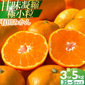 【ふるさと納税】【選べる内容量・3kg または 5kg】 和歌山県 有田みかん ひとくち 甘味凝縮 極小粒 産直45年 5代目 武内園 完熟蜜柑 | 有田川町 老舗農園 完熟 小粒 人気 おすすめ みかん 柑橘 果物 フルーツ 産地直送 家庭用 箱入り ふるさと納税