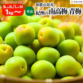 【ふるさと納税】［選べる容量］青梅 南高梅 秀品 和歌山県産 A品 梅酒作り用 梅ジュース作り用 | 有田川町 青梅 南高梅 梅酒用 ジュース用 秀品 人気 おすすめ 果物 和歌山県産 家庭用 お取り寄せ 送料無料 ふるさと納税