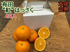 楽天市場 ふるさと納税 みかん フルーツ 果物 食品の通販 楽天市場 ふるさと納税 みかん フルーツ 果物 食品の通販